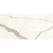 EXPANSE - 31X96 DYN, INTENSA SILVER, MATTE